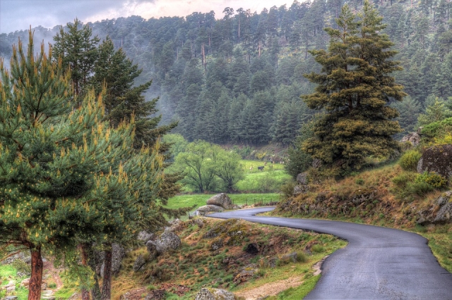 Disfruta de la Sierra de Gredos