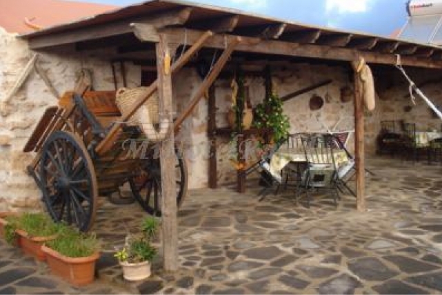  Visita à fazenda de cabras 