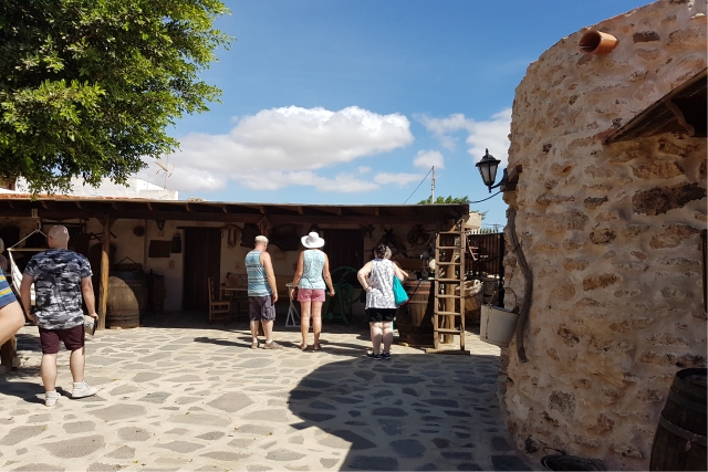  Passeio pela fazenda de cabras 