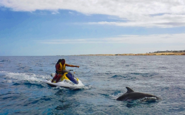  Delfin neben dem Jetski 