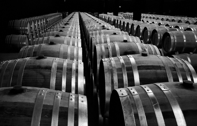  Visit to winery in Antequera