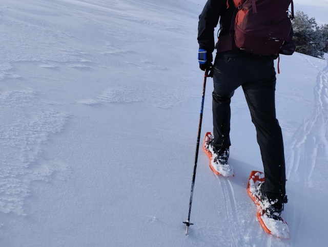  Passeio com raquetes de neve 