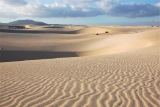 Tour express con guías a Corralejo por 8 horas