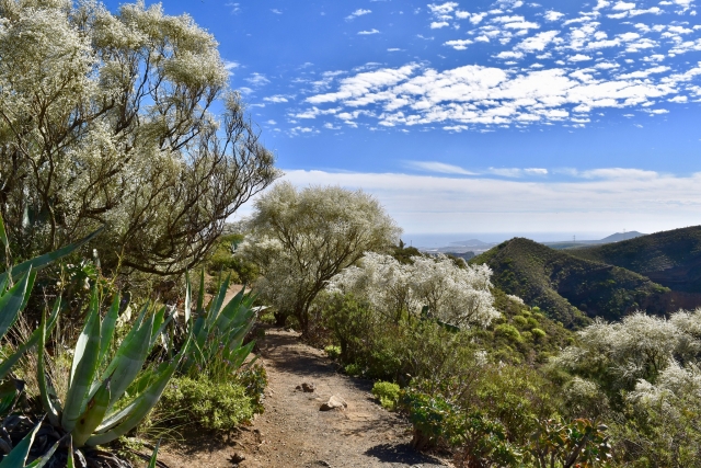  Hiking in Caldera de Bandama