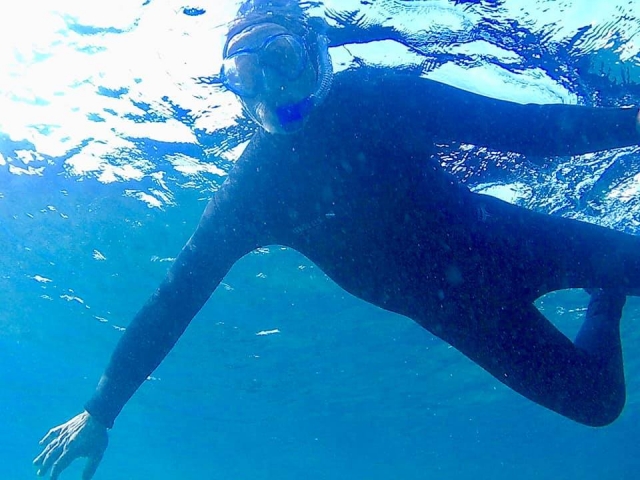  Snorkel 