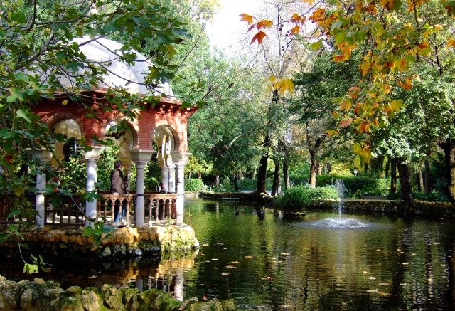 Zona natural dentro del parque
