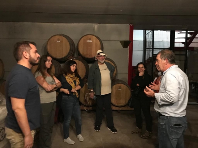  Wine tasting in Tomelloso 