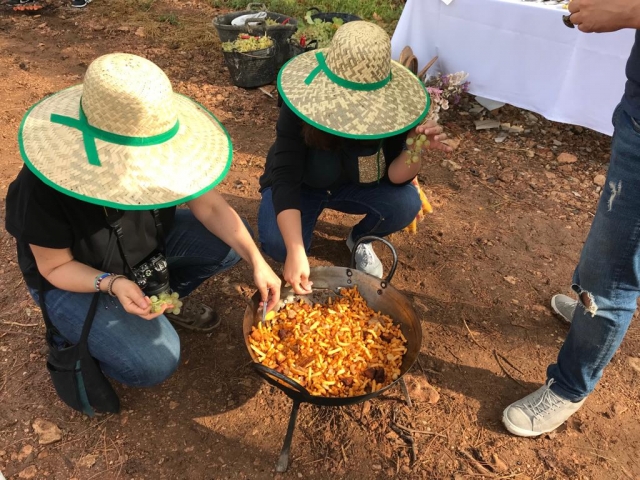  Wine and food tasting in Tomelloso 