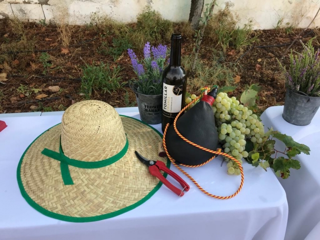  Wine tourism experience in Tomelloso 