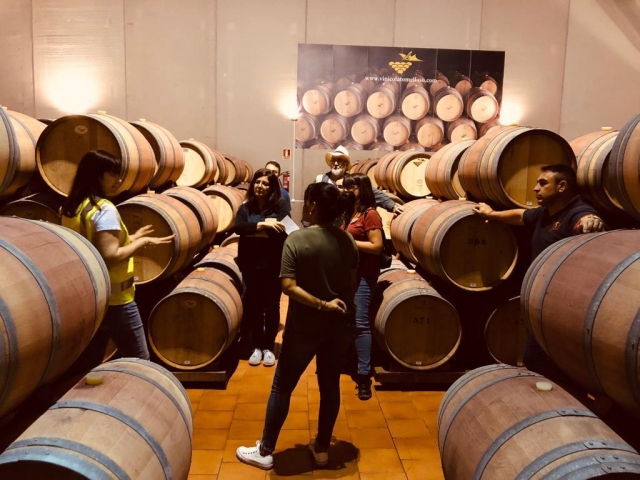  Winery visit in Tomelloso