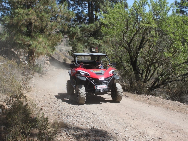 Tour en buggy