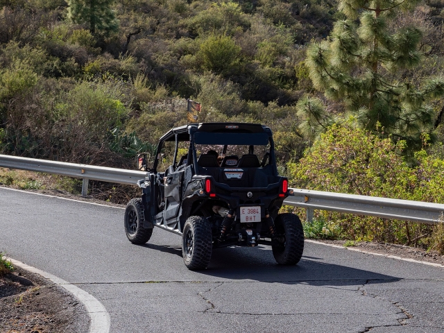 Por la carretera con el buggy
