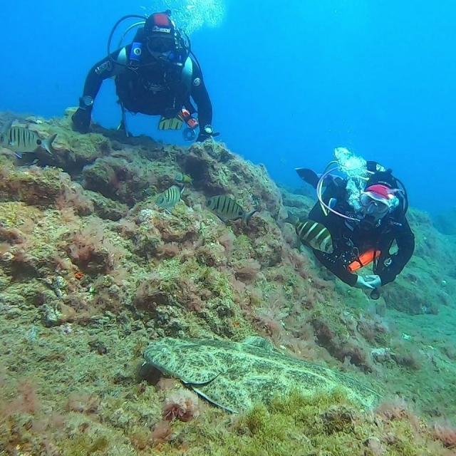  Underwater tour in Gran Canaria 