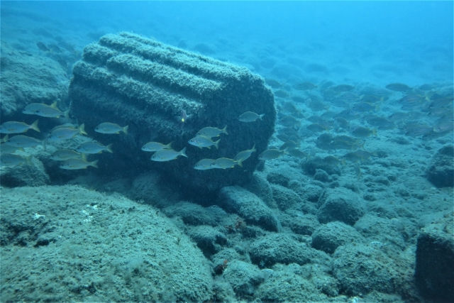  Sunken Greek formations in Gran Canaria 