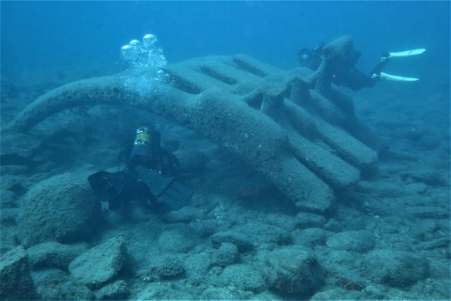  Divers in whale bone structure