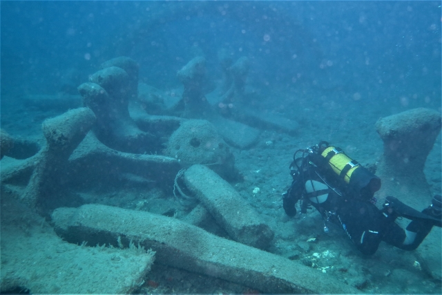  Diving trip in Parque de la Atlántida 