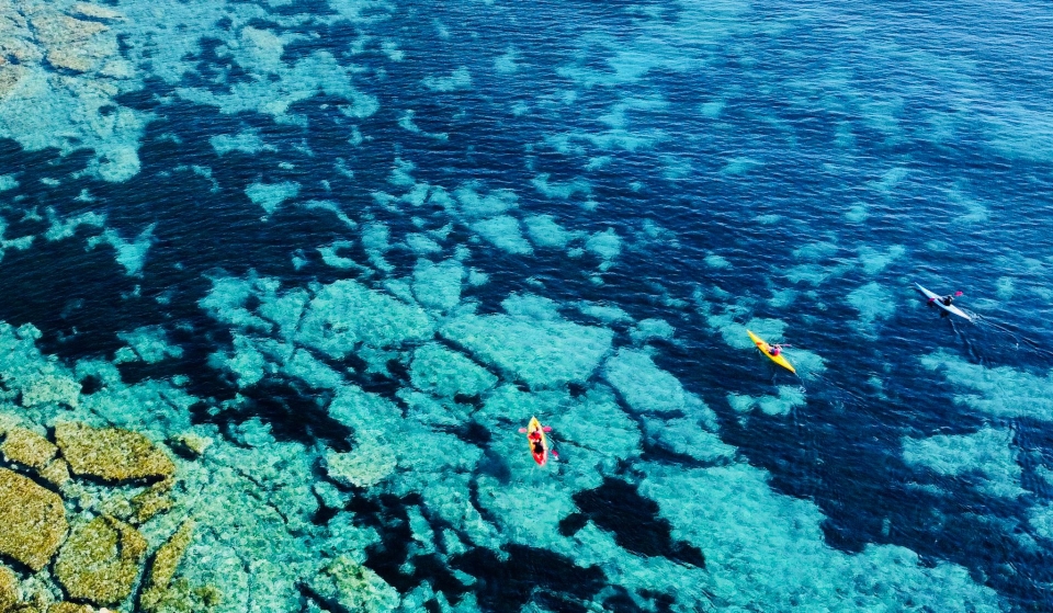 Snorkel