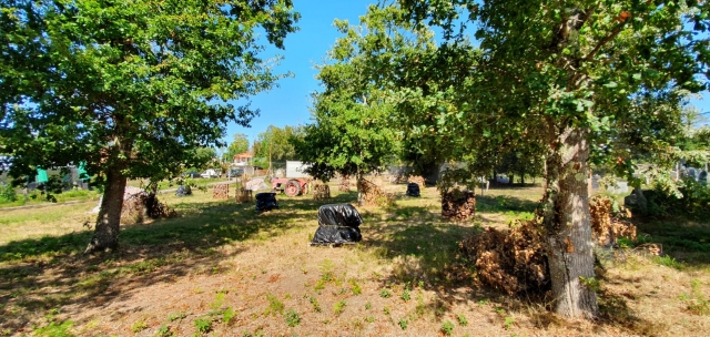  Sessione di paintball all'aperto