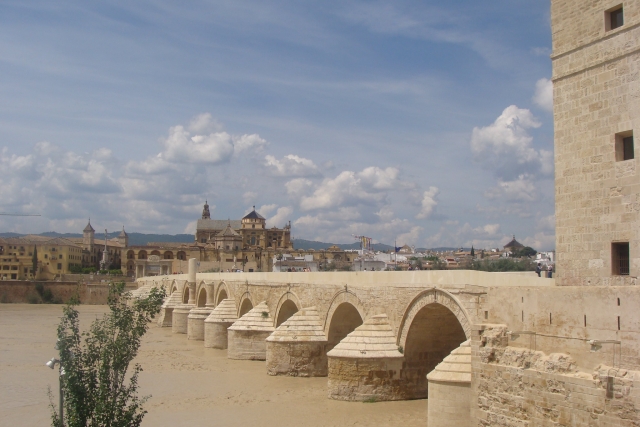Puenle en Córdoba