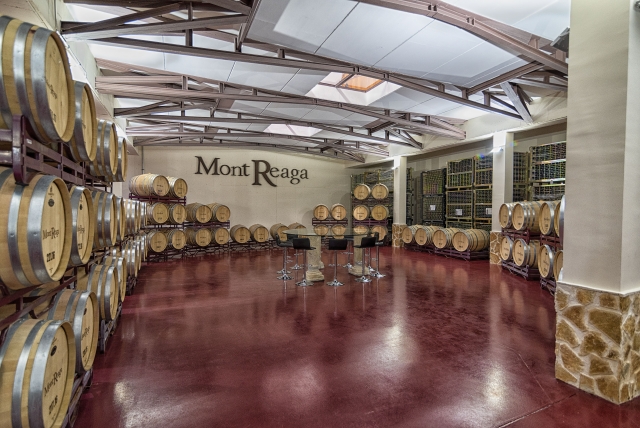  Interno della cantina nella Mancia