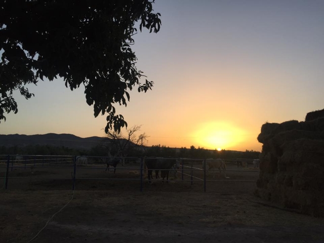  Itinerario al tramonto nella Sierra de Baza 