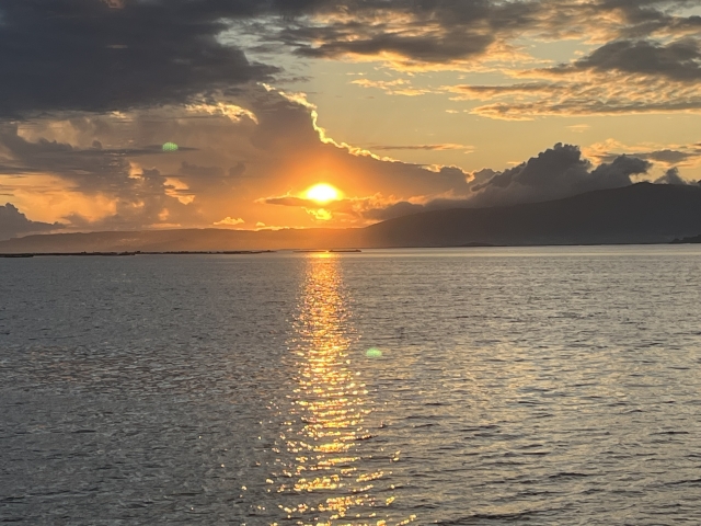  在海滩骑马 