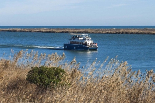 Crucero por el río