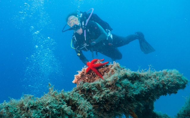 Buceo en el Mediterráneo