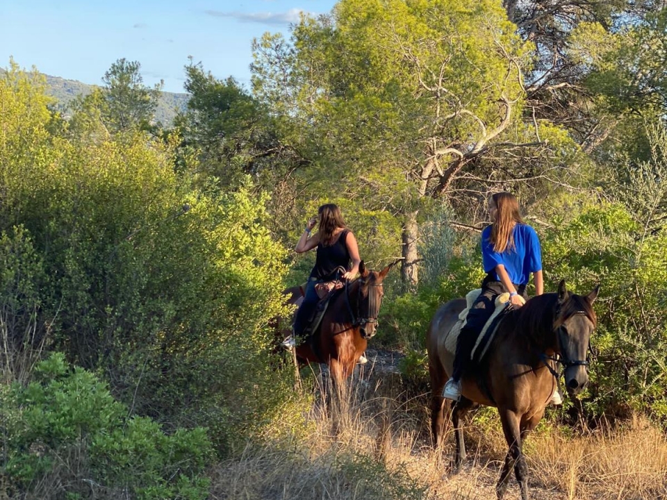 Paseo a caballo por el Baix Ebre Paseo a caballo por el Baix Ebre