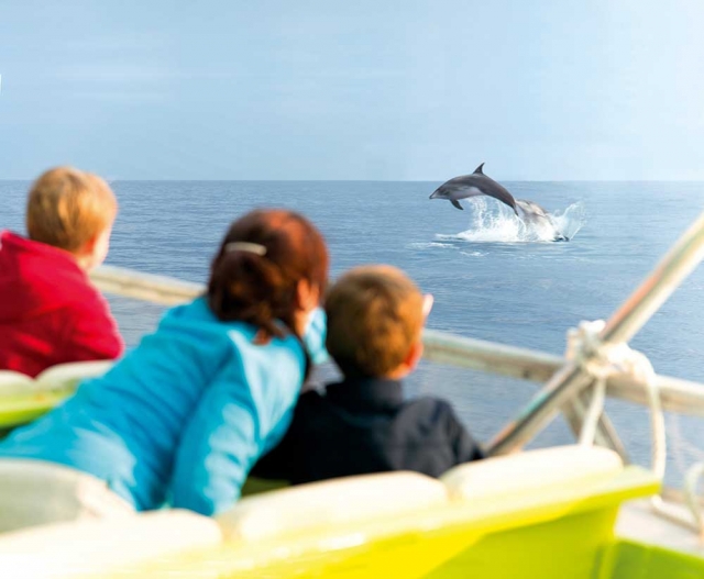  Passeio de barco com golfinhos 