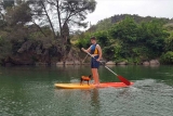 Ruta de Paddle surf en Benifallet 1h