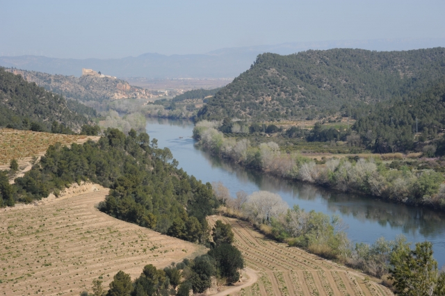 Travesía por el río Ebro con tabla de SUP