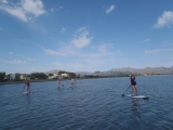 Rota de paddle surf de Sa Marina de Alcudia, 2h