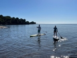 Ruta en paddle surf desde Playa de Alcanada 2h 30m
