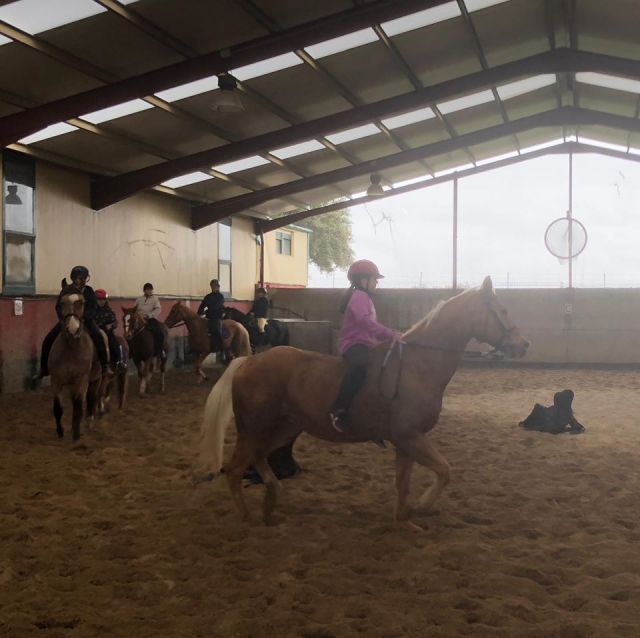 Aprender a montar a caballo Ortigosa