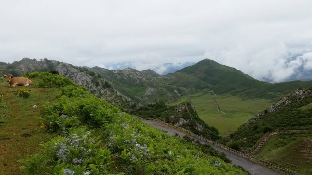  Arriondas buggy tour 