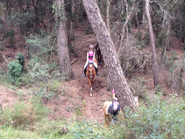 Paseos a caballo