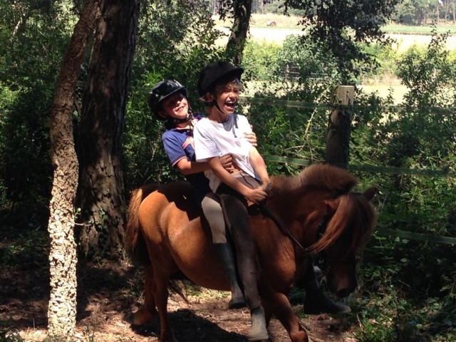 Juegos con ponys
