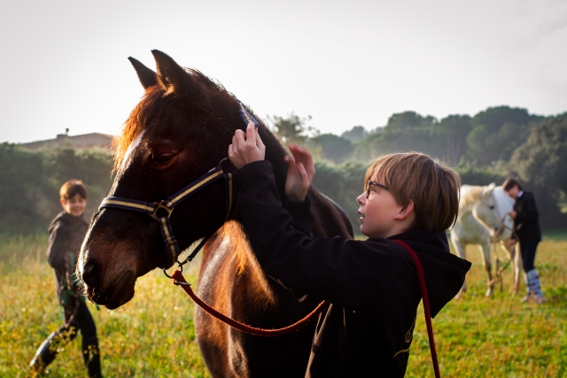 Pequeño cuidando del caballo