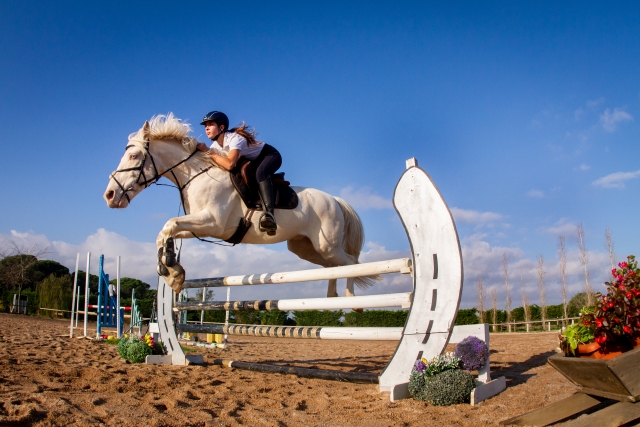Salto de obstáculos con el caballo