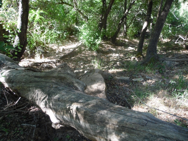Recorriendo los caminos de Sierra Morena en todoterreno