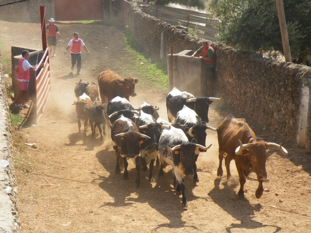  Learning to separate livestock 