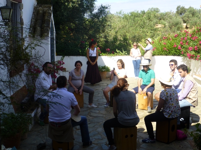  Learning to play the flamenco box 