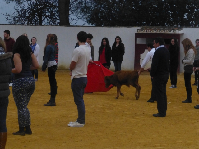  Playing Don Tancredo 