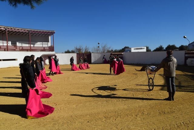  Learning the art of bullfighting 