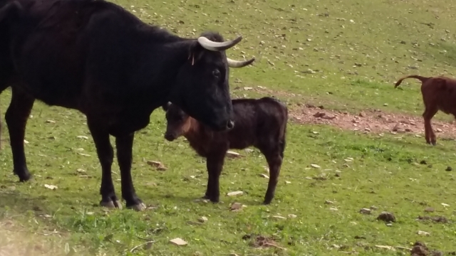  Mother and daughter 