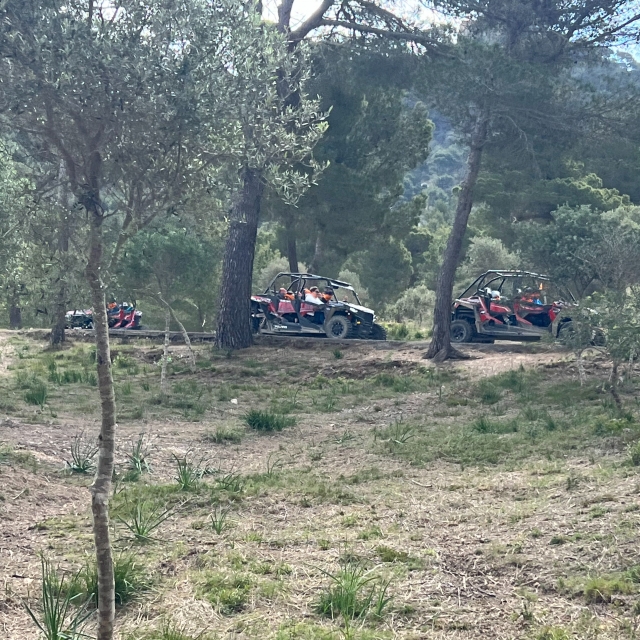  乘坐越野车探索马略卡岛 