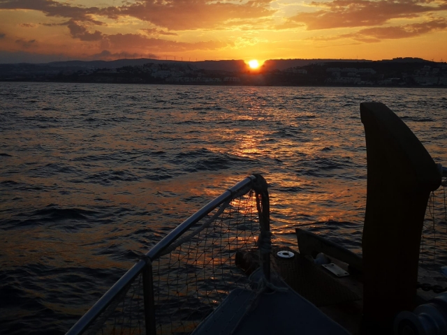 Esperienza romantica a Estepona