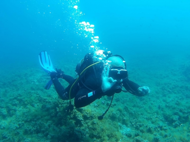  Advanced Adventurer SSI von Puerto de las Águilas
