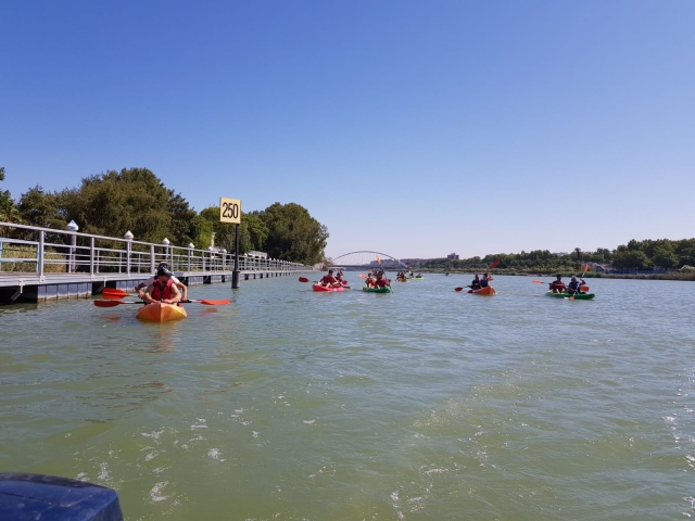 Kayaks remando por el Guadalquivir